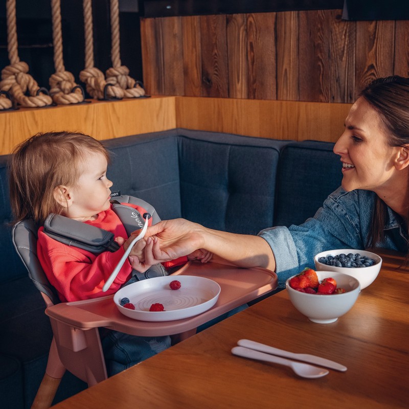 lionelo Koen Pink Rose — Seggiolone pappa